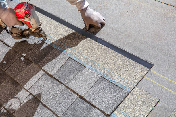 Best Metal Roofing Contractor  in Auburn, NE